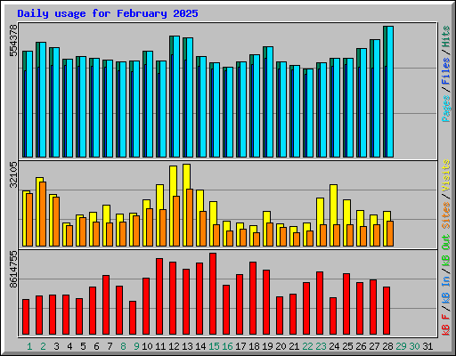 Daily usage for February 2025