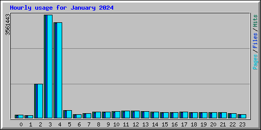 Hourly usage for January 2024