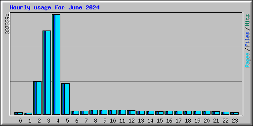 Hourly usage for June 2024