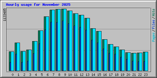 Hourly usage for November 2025