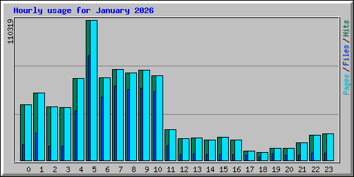 Hourly usage for January 2026